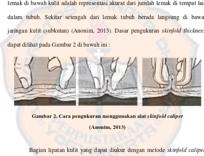 Gambar 2. Cara pengukuran menggunakan alat skinfold caliper