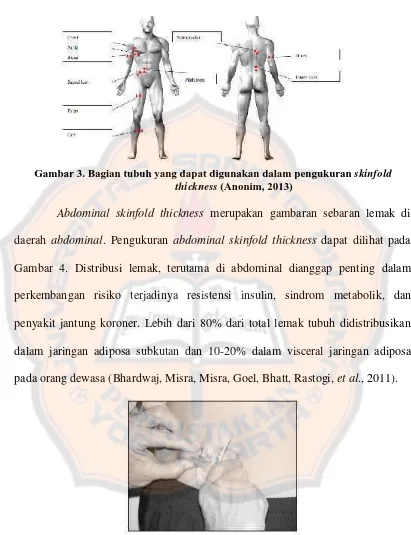 Gambar 3. Bagian tubuh yang dapat digunakan dalam pengukuran skinfold (Anonim, 2013)