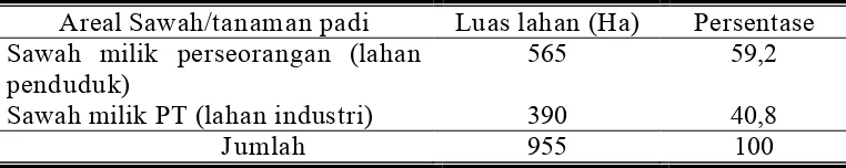 Tabel 9 menyajikan sebuah data bahwa lahan sawah yang selama ini 