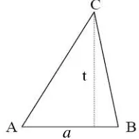 Gambar 6. Bangun segitiga sembarang 
