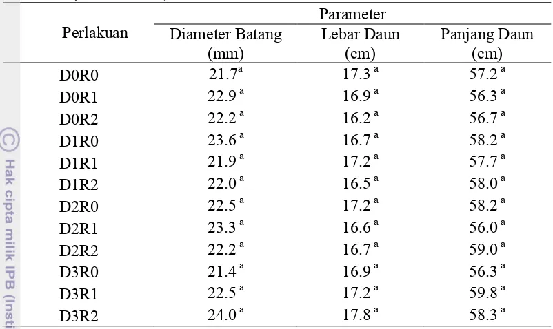Tabel 7   Pertumbuhan diameter batang, lebar dan panjang daun tanaman kunyit (C. domestica)      