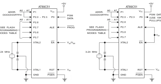 Figure 3.  Programming the Flash