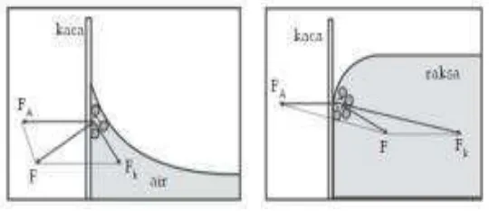 Gambar 7. Bentuk Permukaan Air dan Raksa Pada Dinding Bejana 