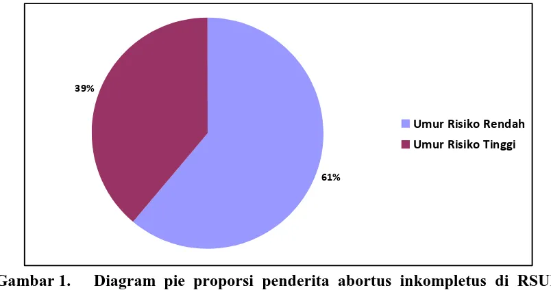 Gambar 1.  Diagram pie proporsi penderita abortus inkompletus di RSUD Dr.Pirngadi Kota Medan tahun 2010 – 2011 berdasarkan umur  