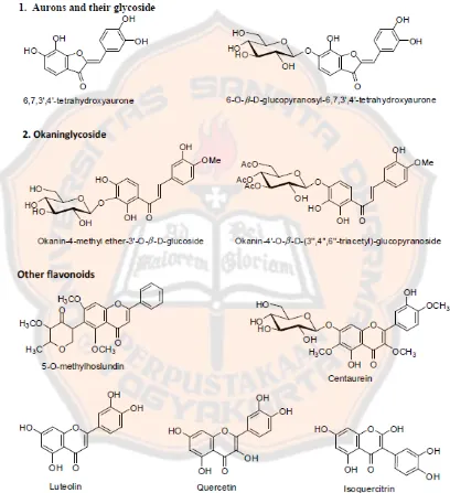 Gambar 2. Struktur Flavonoid Herba Bidens pilosa L. (Bairwa, et al., 2010) 