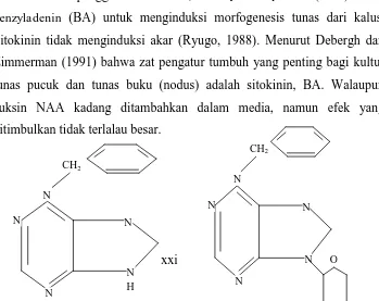 Gambar 1. Indolbutyiric-3-acid 