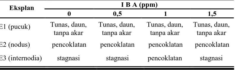 Tabel 1.  Pertumbuhan eksplan pucuk, nodus dan internodia batang tanaman manggis (Garcinia mangostana L.) pada semua perlakuan IBA