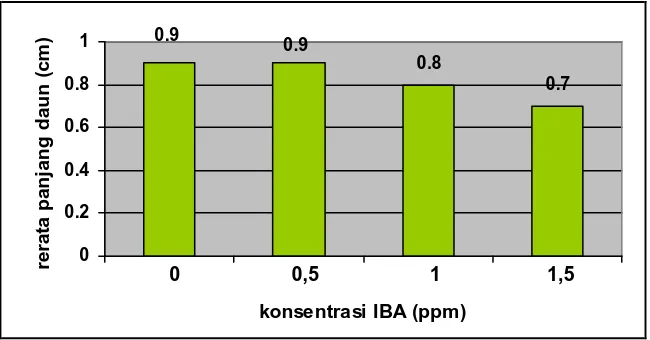Gambar 9. Histogram hubungan antara konsentrasi IBA dengan rerata panjang daun eksplan pucuk batang tanaman manggis (Garcinia mangostana L.)