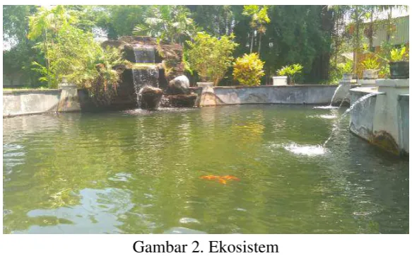 Gambar 2. Ekosistem 