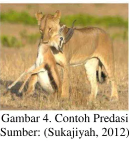 Gambar 5. Contoh Netralisme 