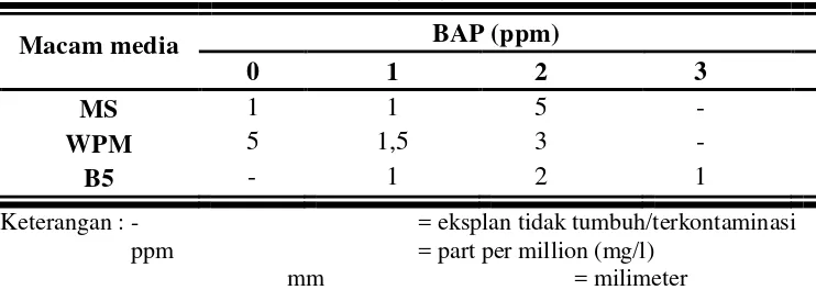 Tabel 2. Panjang tunas eksplan tanaman manggis pada berbagai macam media dan konsentrasi BAP (mm)