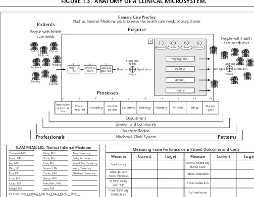 FIGURE 1.3. ANATOMY OF A CLINICAL MICROSYSTEM.