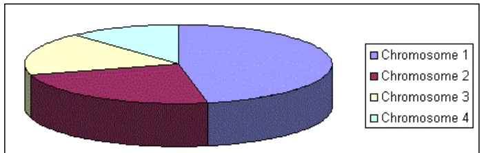 Gambar 2.16 Roulette wheel selection (Obitko, 1998) 
