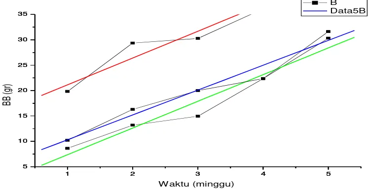 Figure 4. Graph of body weight increment of baby mouse treated by sound of cengceng 466 Hz  Note: Red line for repetition 1, green line for repetition 2, blue line for repetitionat   