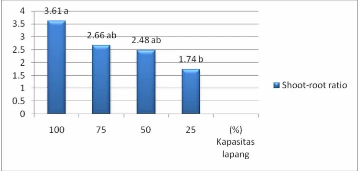 Gambar 1. Histogram penurunan shoot-root ratio pada berbagai tingkat cekaman kekeringan  