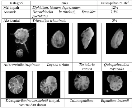Tabel 3. Kelimpahan relatif foraminifera bentik di perairan terbuka Teluk Jakarta 