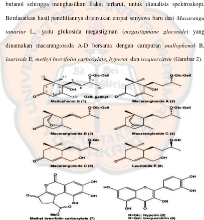 Gambar 2. Struktur senyawa kimia yang diisolasi dari daun Macaranga tanarius L. (Matsunami et al., 2006)