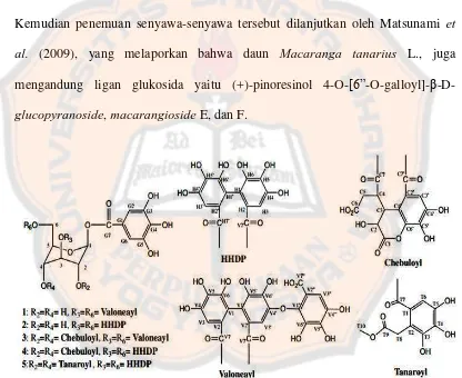 Gambar 3. Struktur senyawa kimia yang diisolasi dari daun  Macaranga tanarius 