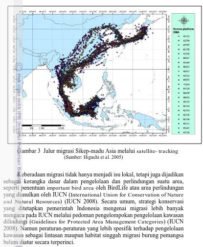 Gambar 3  Jalur migrasi Sikep-madu Asia melalui satellite- tracking (Sumber: Higuchi et al