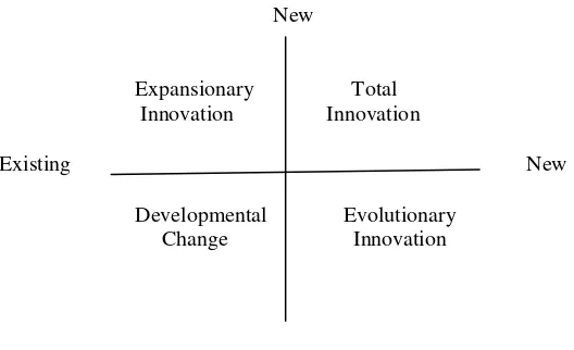 Figure 1. A Classification of innovation in public services 