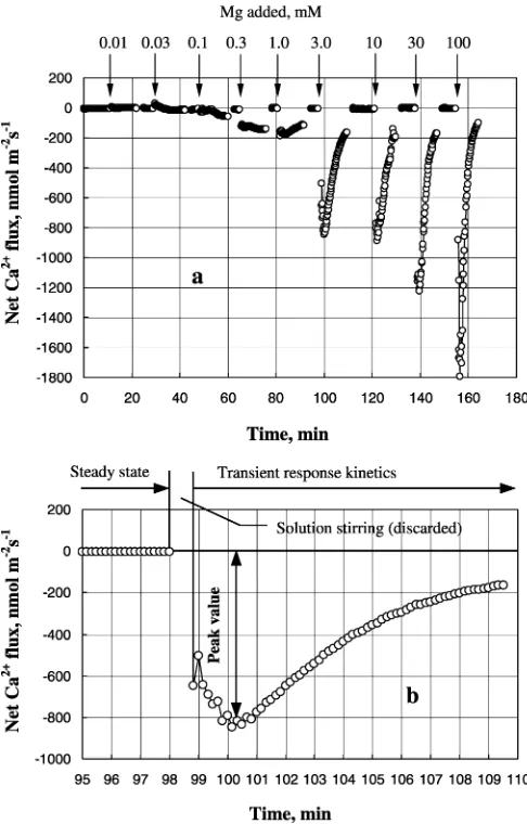 Fig. 1 Methodological aspects of measurements of ion uptakekinetics by the MIFE technique
