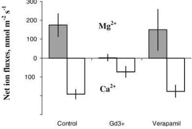 Fig. 4 Eﬀect of speciﬁc channel blockers (50 lM Gd3+ and 20 lMverapamil) on the magnitude of net Ca2+ and Mg2+ ﬂuxes inresponse to added Mg (1 mM)