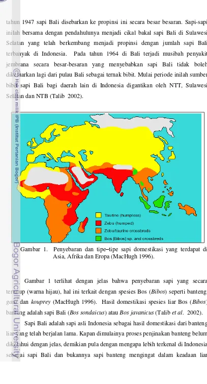 Gambar 1.  Penyebaran dan tipe–tipe sapi domestikasi yang terdapat di 