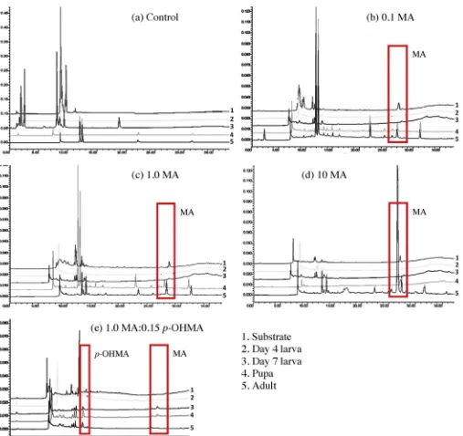 Fig. 7. Selected examples of HPLC traces qualitatively showing the presence or absence of methamphetamine (MA) and p-hydroxymethamphetamine (p-OHMA): (a) control;(b) 0.1 MA; (c) 1.0 MA; (d) 10 MA; and (e) 1.0 MA:0.15 p-OHMA.