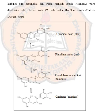 Gambar 3. Perubahan struktur kimia antosianin terhadap pH (Hui dan Sherkat, 2005) 