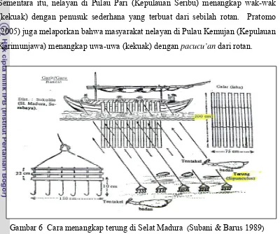 Gambar 6  Cara menangkap terung di Selat Madura  (Subani & Barus 1989) 