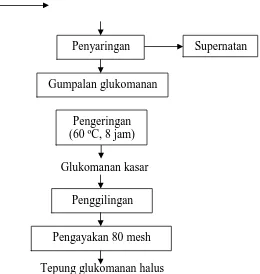 Gambar 3.4. Diagram alir ekstraksi glukomanan dari tepung iles-iles. 