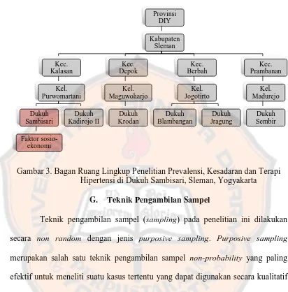 Gambar 3. Bagan Ruang Lingkup Penelitian Prevalensi, Kesadaran dan Terapi Hipertensi di Dukuh Sambisari, Sleman, Yogyakarta 