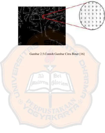 Gambar 2.5.Contoh Gambar Citra Biner [16] 