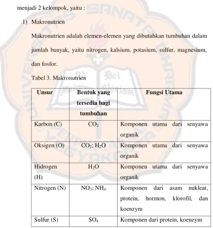 Tabel 3. Makronutrien 
