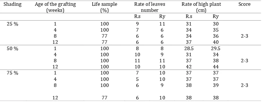 Tabel 2. Morphological observations of approach side grafting method between R.Serpentina and R
