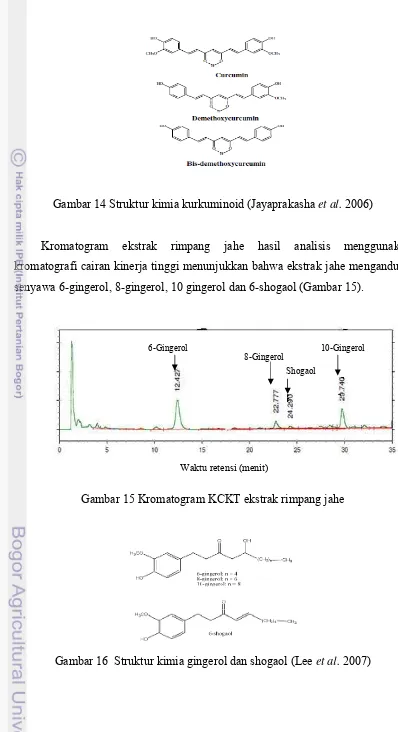 Gambar 16  Struktur kimia gingerol dan shogaol (Lee et al. 2007) 