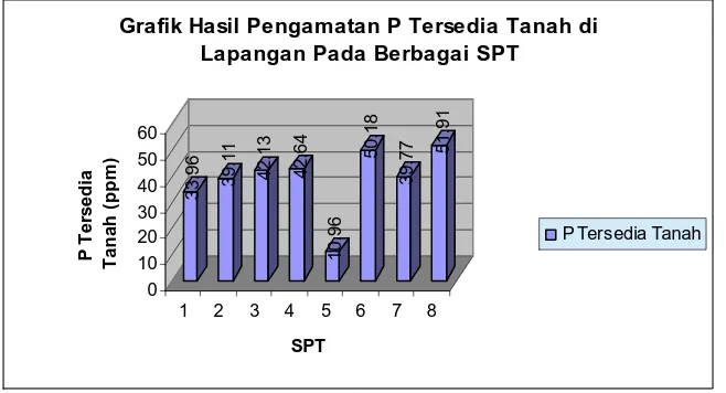 Grafik Hasil Pengamatan P Tersedia Tanah di Lapangan Pada Berbagai SPT