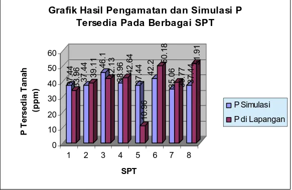 Grafik Hasil Pengamatan dan Simulasi P Tersedia Pada Berbagai SPT