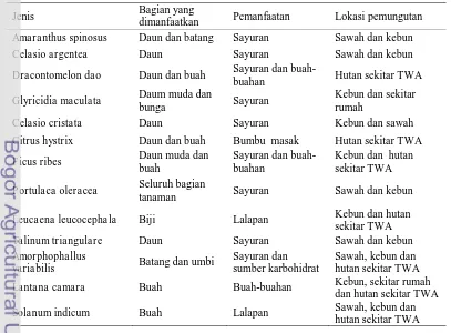 Tabel 11   Daftar tiga belas (13) jenis tumbuhan pangan yang jarang dimanfaatkan (minor) oleh masyarakat sekitar kawasan TWA Madapangga  