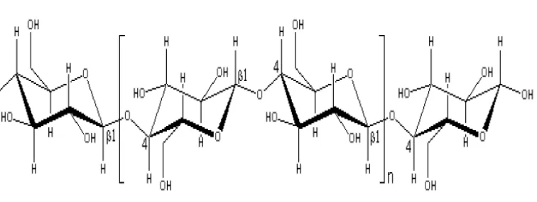 Gambar 1. Struktur Kimia Selulosa 