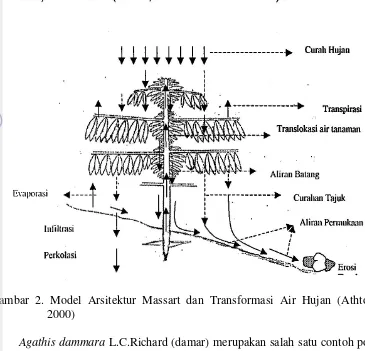 Gambar 2. Model Arsitektur Massart dan Transformasi Air Hujan (Athtorick 