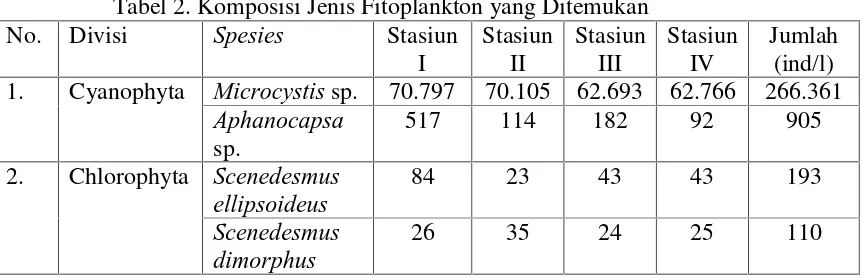 Tabel 2. Komposisi Jenis Fitoplankton yang Ditemukan