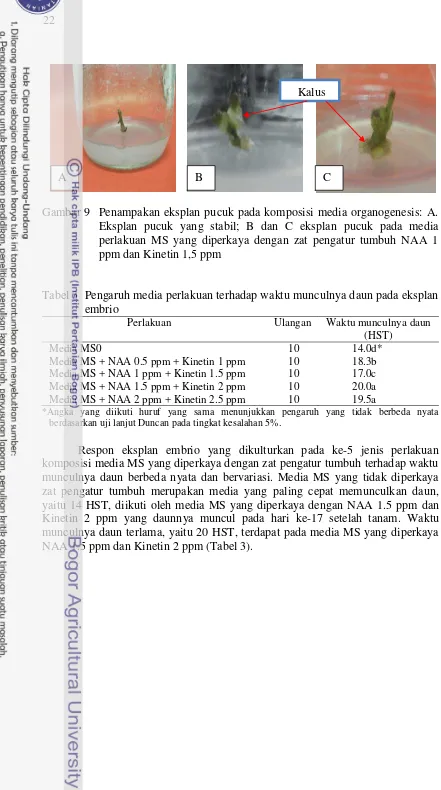 Gambar 9 Penampakan eksplan pucuk pada komposisi media organogenesis: A. 