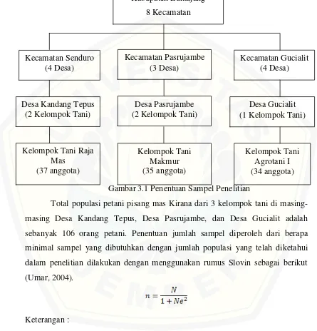 Gambar 3.1 Penentuan Sampel Penelitian 