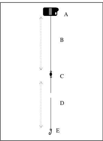 Gambar 21  Desain pancing tegak (vertical line). 