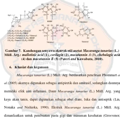 Gambar 7.  Kandungan senyawa ekstrak etil asetat Macaranga tanarius (L.) mallotinic acidcorilaginmacatannin Achebulagic acid