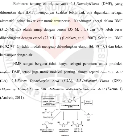 Gambar 1. Skema senyawa-senyawa yang dapat diturunkan dari HMF.   (Sumber : 