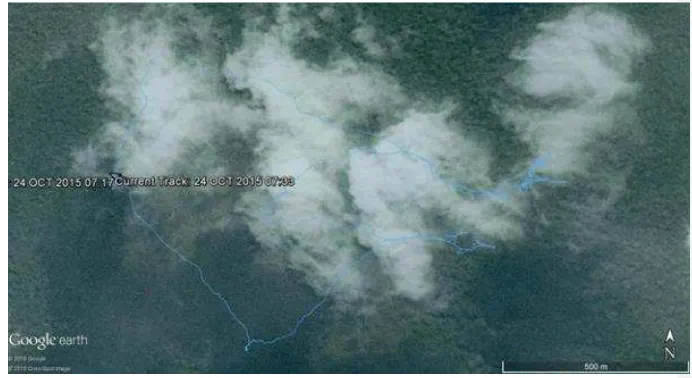 Gambar 3.1 Peta Lokasi Penelitian di TN Alas Purwo (Ditunjukkan dengan garis biru) 