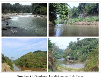 Gambar 4.1  Gambaran kondisi sungai Aek Natas (Sumber: Dokumentasi Pribadi : Tahun 2016) 