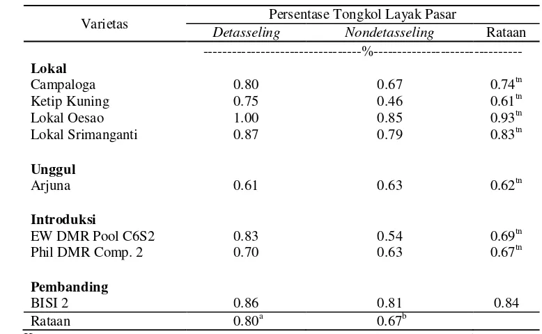 Tabel 14. Persentase Tongkol Layak Pasar pada Beberapa Varietas Jagung dalam Produksi Jagung Semi 